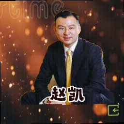 赵凯